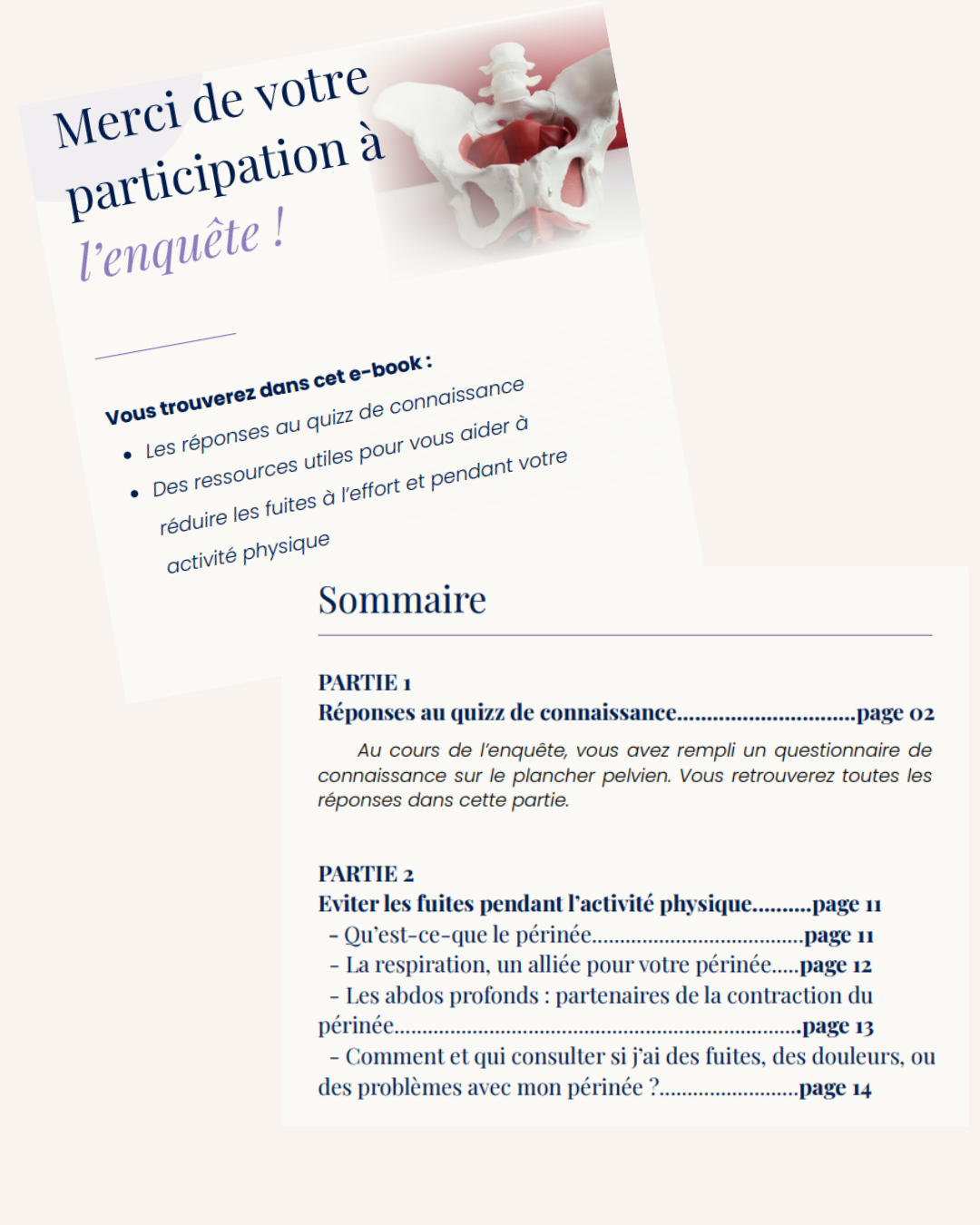 Couverture et sommaire de l'ebook offert à la fin de l'enquête
